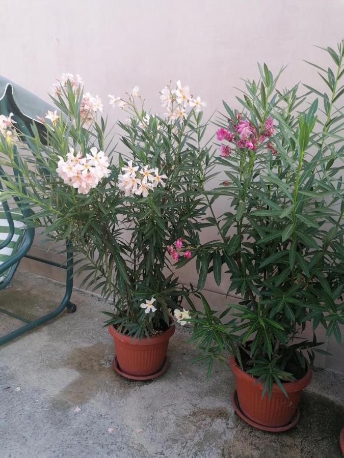 Villa Ros Guest House Svilengrad Luaran gambar