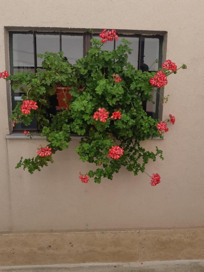 Villa Ros Guest House Svilengrad Luaran gambar